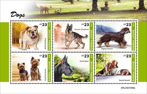 Dogs british bulldog german - bulldog,