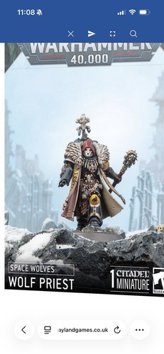 Space wolves rune - wolves, priest