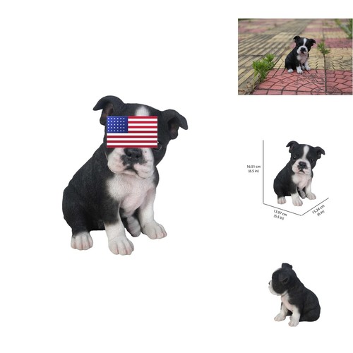 Sitting boston terrier puppy - boston,
