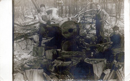 Rppc winter logging camp - rppc,
