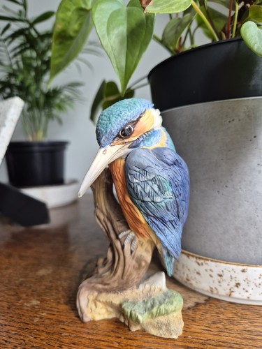 Wedgewood porcelain kingfisher - porcelain,
