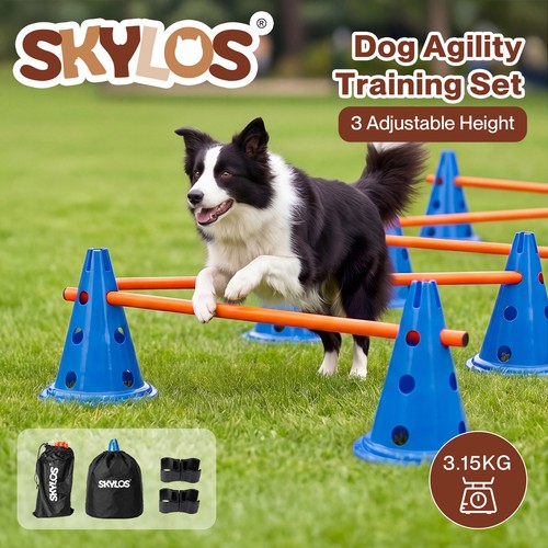 Skylos dog agility - skylos,