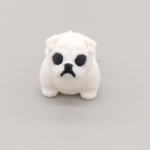 Printed animals english - animals,