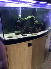 FLUVAL Vicenza  4ft Bow Front Aquarium