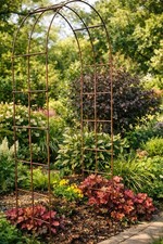 Rust Metal Garden Arch Plant