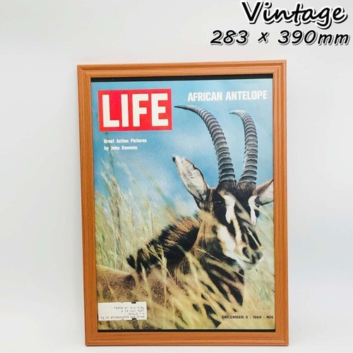 Advertisement life magazine - life,