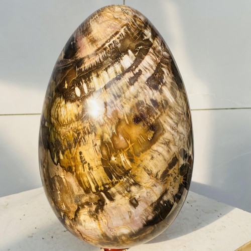 Natural petrified wood egg - natural,