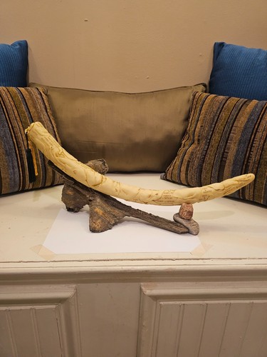 Martha carey the herd - tusk, of