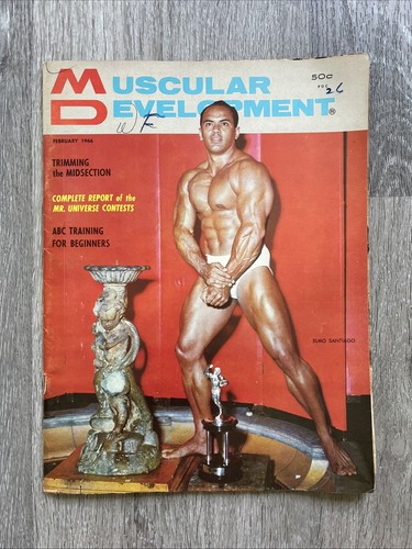 Muscular development - muscular,