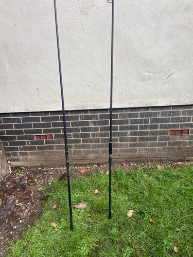Carp pike fishing - carp,