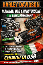 HARLEY DAVIDSON USE AND