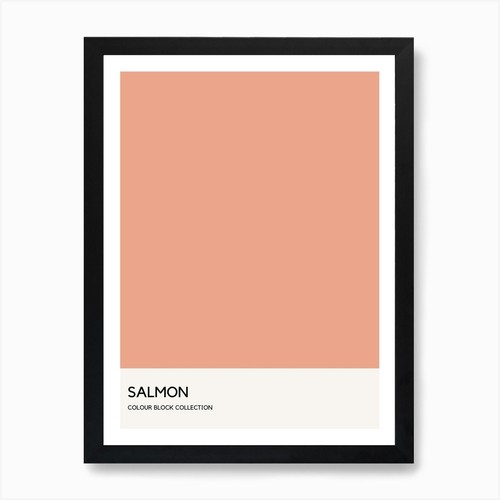 Salmon colour block poster - salmon,
