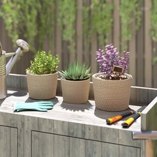 Seagrass Plant Pots Set of 3