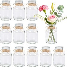 BTSD-home Glass Bud Vases Set