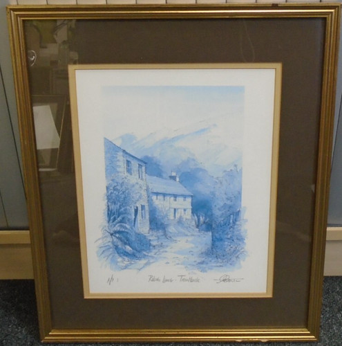 Framed print robin - framed,