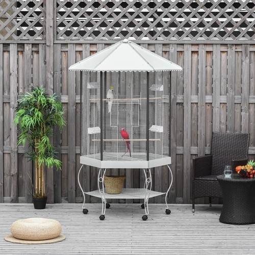 Parrot bird cage - bird,