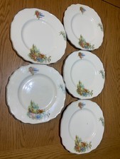 20cm myott antique plate set