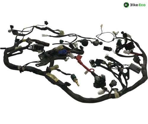 Motorcycle wiring harness for - motorcycle,