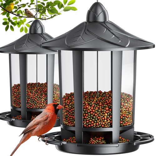 Pack bird feeders for - bird,