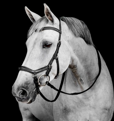 Horseware micklem deluxe - horseware,