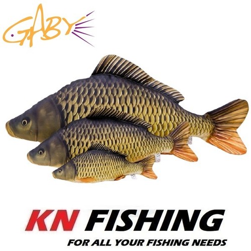 Gaby common carp - common, gift