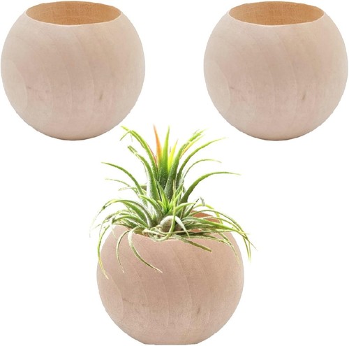 Pcs wood air plant - wood, holder