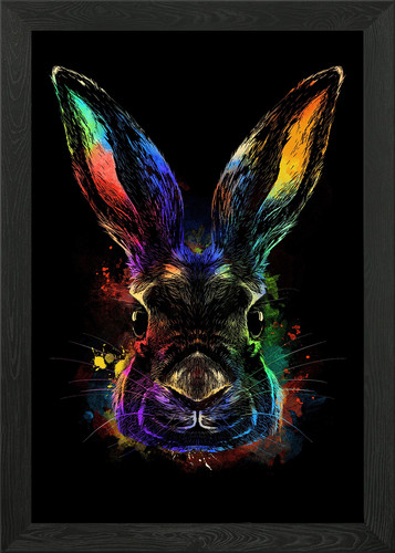 Rabbit framed wall - rabbit,