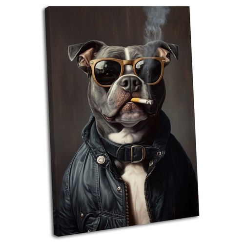 Staffordshire bull terrier - staffordshire,
