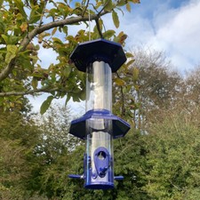 Squirrel proof hanging bird - proof,