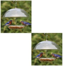 Set Of 2 Dome Wild Bird