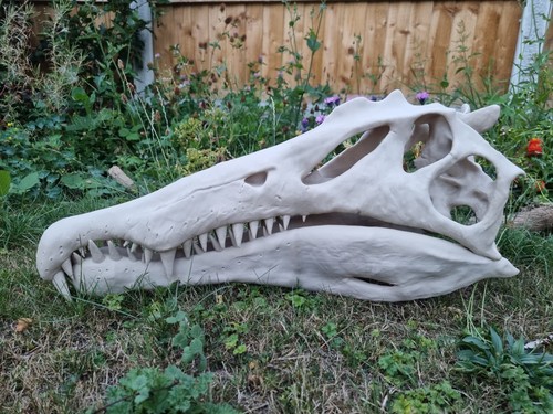 Spinosaurus dinosaur replica - dinosaur,