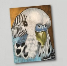 Fridge Magnet Budgerigar