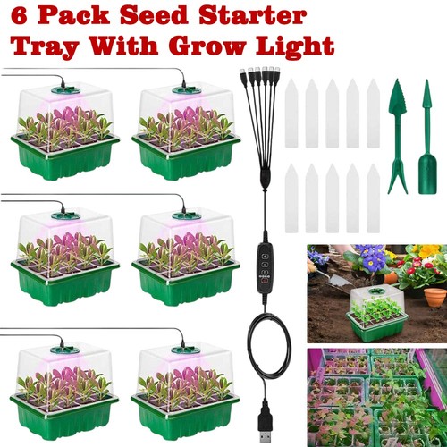 Pack seed starter tray with - 6,