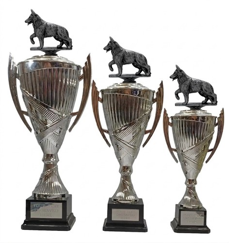 Personalised silver - personalised,