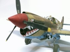 Pro Built Eduard 1/48 P-40E War Hawk  Finished Model