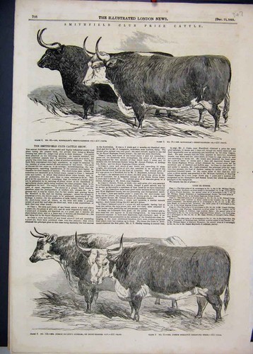 Original old antique print - old,