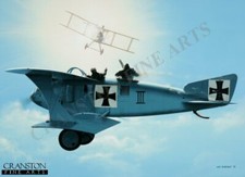 WW1 Dogfight aviation art postcard German  Kasta 3 LFG Roland C.II  RFC DH2