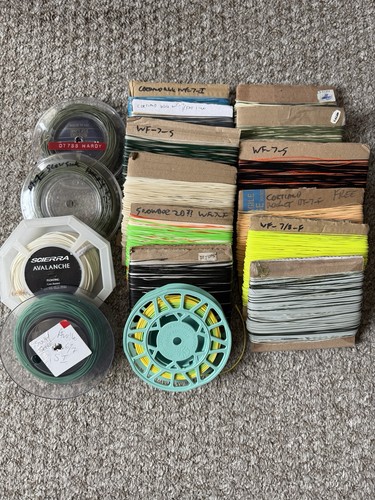 Fly fishing lines - lines, multiple