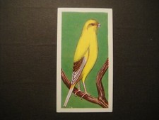 COMO CONFECTIONARY NODDY`S