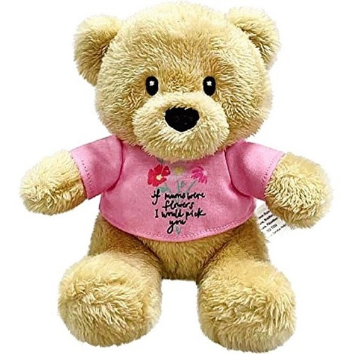Teddy plush gift - teddy,