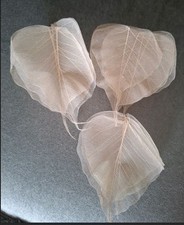 Skeleton  Cream Leaves 1 pk x 10 pcs Large Card Making Arts Crafts