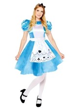 Alice in Wonderland Costume