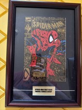Custom Framed Spider-Man, 1990