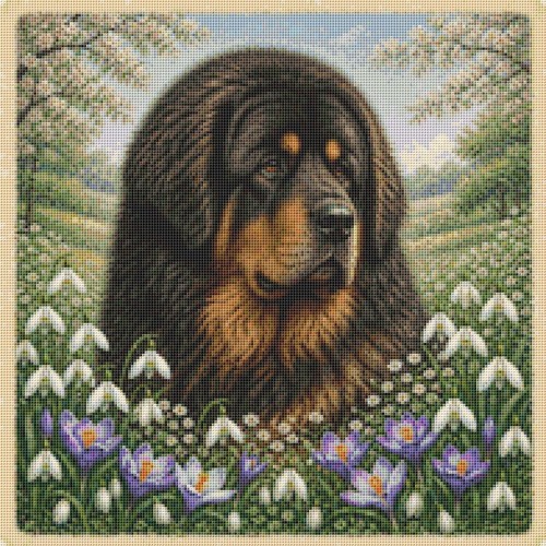 Tibetan mastiff puppy dog - mastiff,