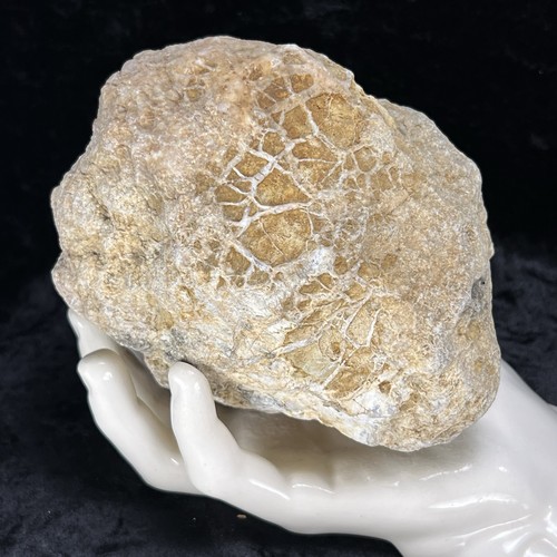 Large unopened geode - unopened,