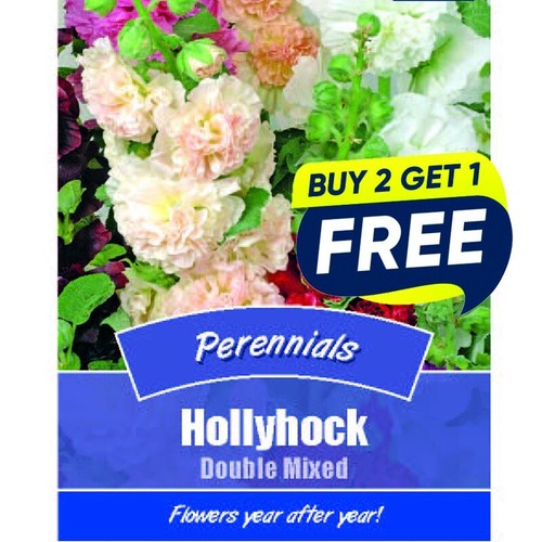 Flower seeds hollyhock double - hollyhock,