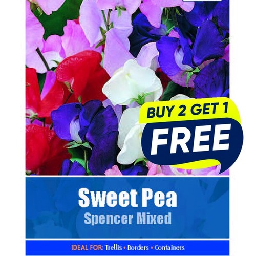 Flower seeds sweet pea - seeds,