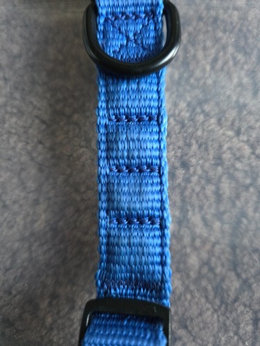 Blue magnetic dog collar - blue,