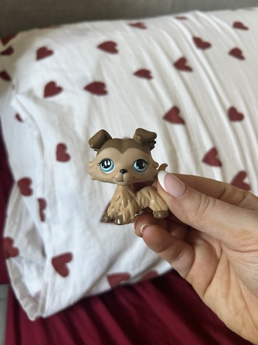 Littlest pet shop brown - pet,