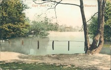 Wanstead eagle pond; 1905